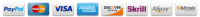 Ic creditcard